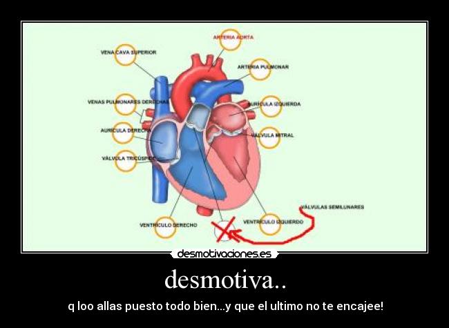desmotiva.. - q loo allas puesto todo bien...y que el ultimo no te encajee!