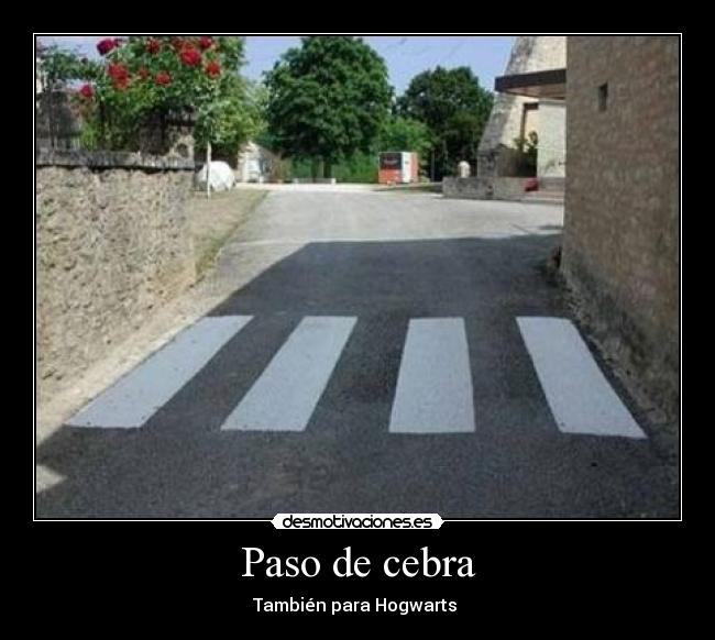 Paso de cebra - 