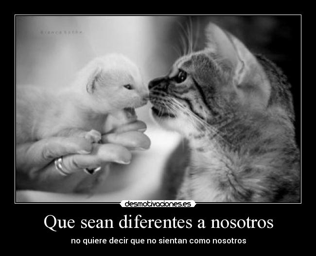 carteles que sean desmotivaciones