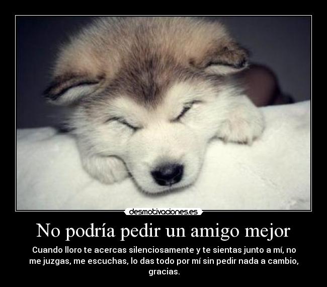 No podría pedir un amigo mejor - 