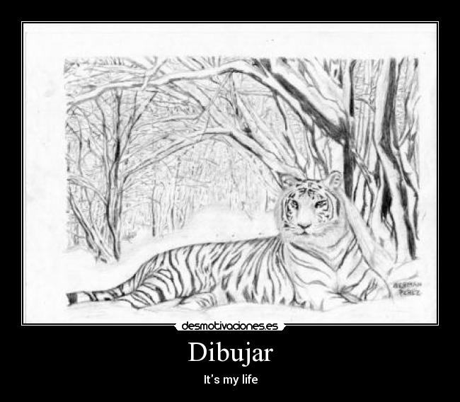 Dibujar -