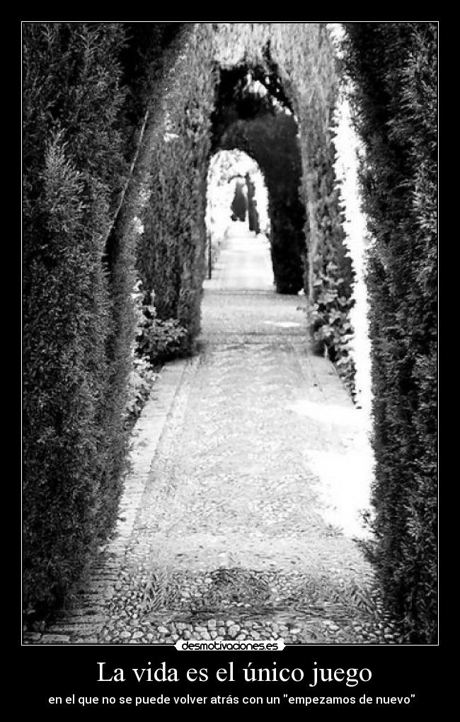 carteles vida sffsfsdfsdfsdfsdfsd desmotivaciones