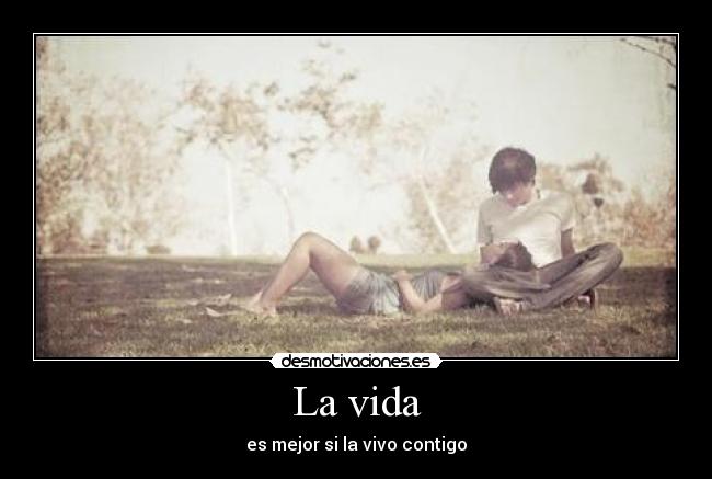 carteles vida dddssdssdsdsd desmotivaciones