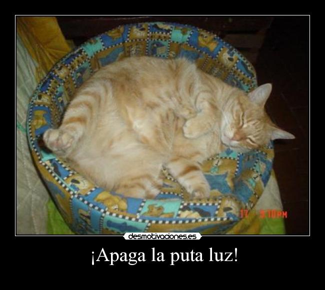 ¡Apaga la puta luz! -