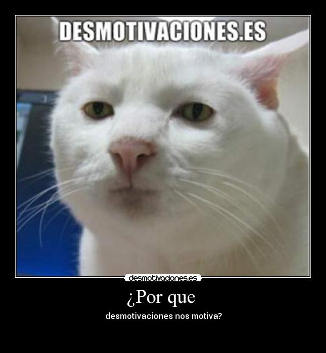 ¿Por que -