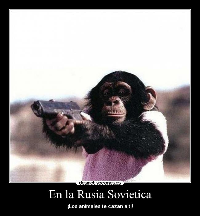 En la Rusia Sovietica - ¡Los animales te cazan a ti!