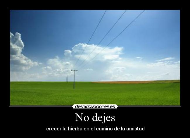 No dejes - crecer la hierba en el camino de la amistad