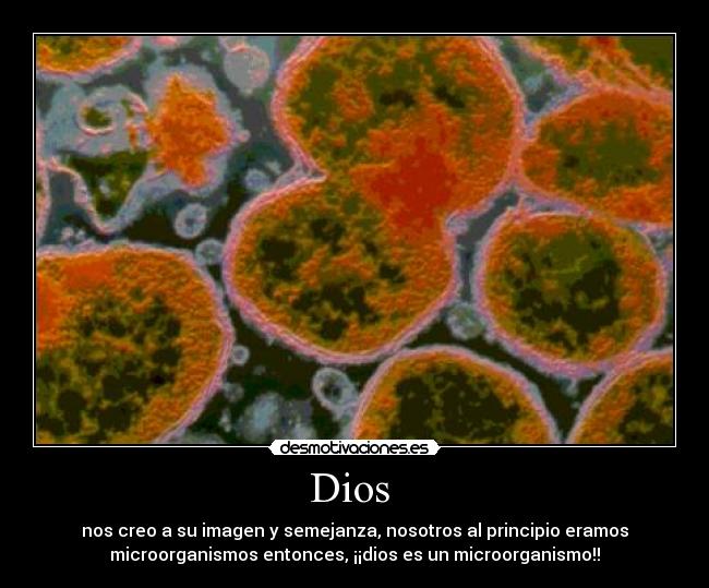 Dios - nos creo a su imagen y semejanza, nosotros al principio eramos
microorganismos entonces, ¡¡dios es un microorganismo!!