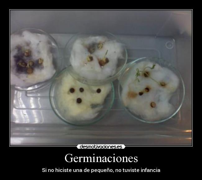 Germinaciones - Si no hiciste una de pequeño, no tuviste infancia