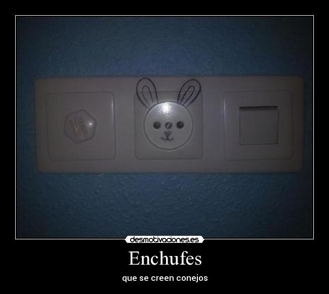 Enchufes - que se creen conejos
