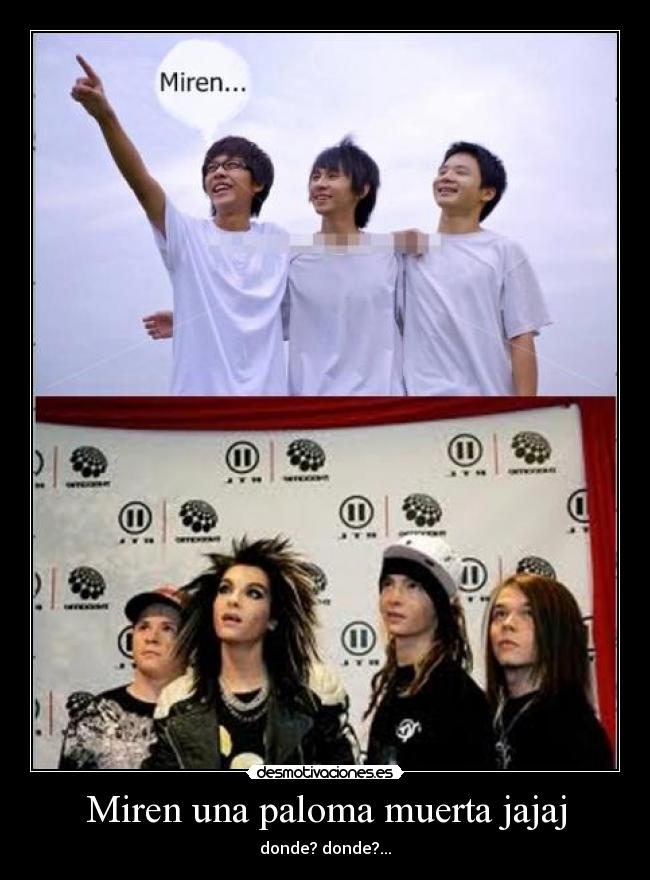 Miren una paloma muerta jajaj - donde? donde?...