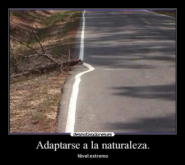 Adaptarse a la naturaleza. - Nivel:extremo