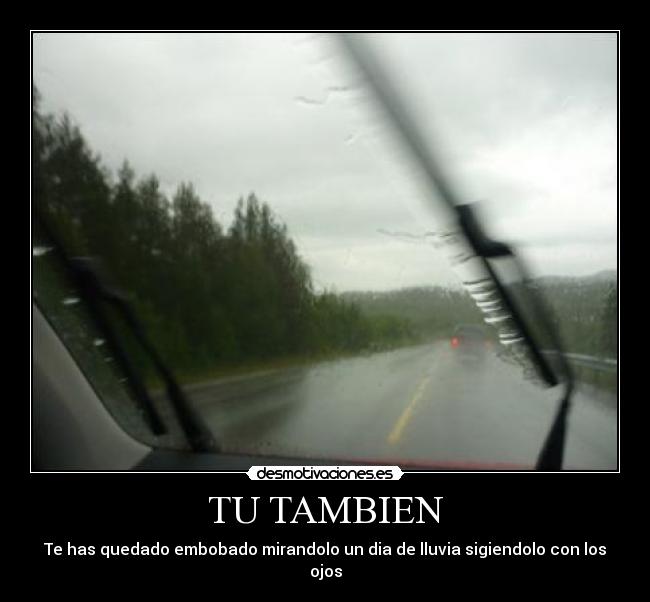 TU TAMBIEN - Te has quedado embobado mirandolo un dia de lluvia sigiendolo con los ojos
