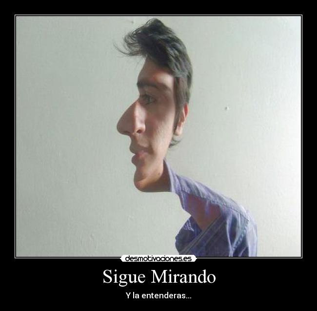 carteles siguemirandolaentenderaprincipa desmotivaciones