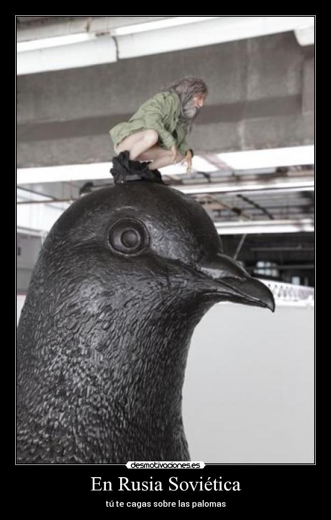 carteles cagar palomas desmotivaciones