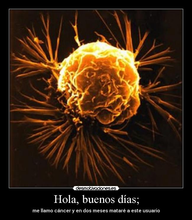 Hola, buenos días; -