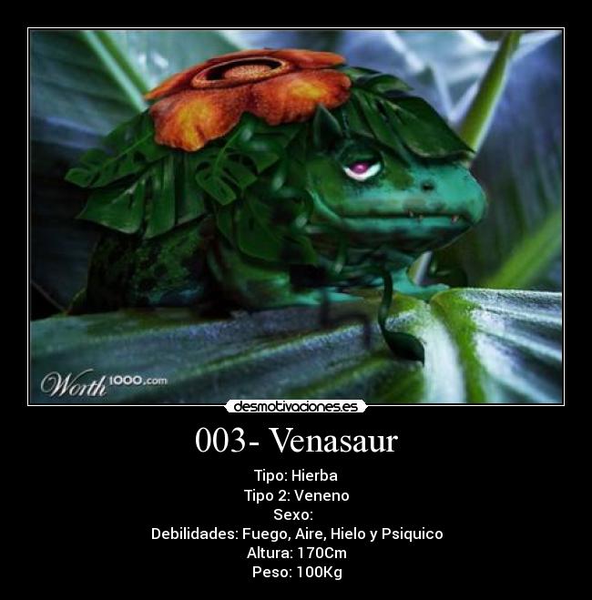 003- Venasaur -