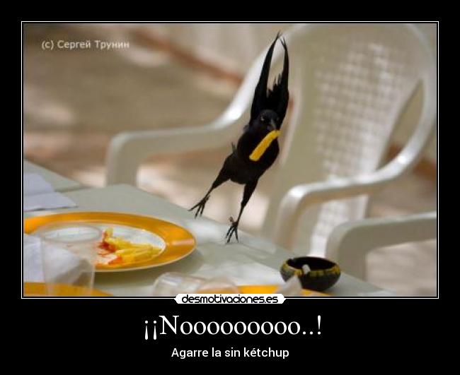 ¡¡Nooooooooo..! -