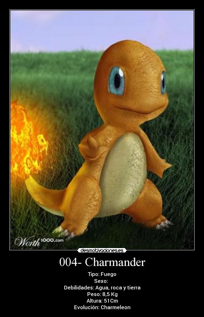 004- Charmander - 