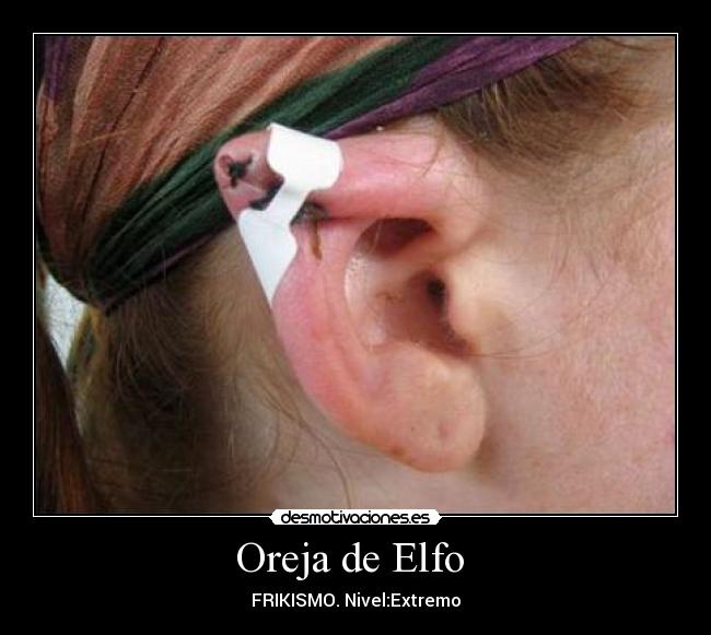 Oreja de Elfo -