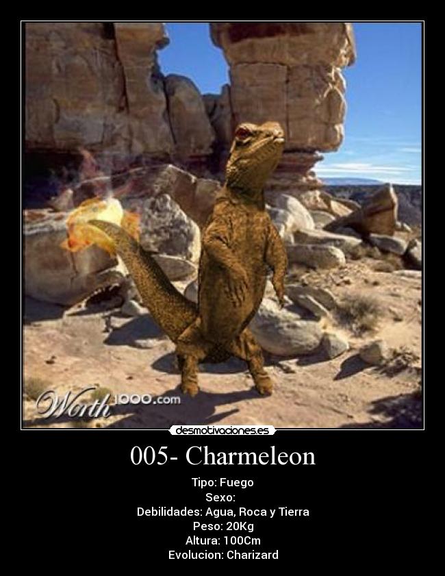 005- Charmeleon - 