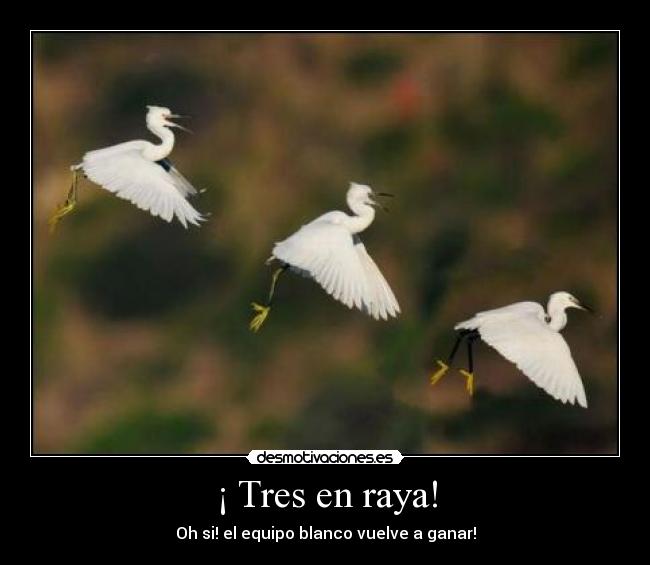 ¡ Tres en raya! - 