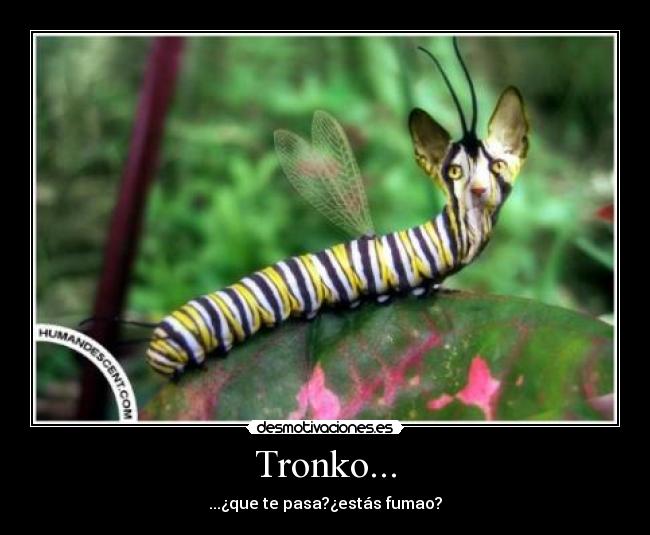 Tronko... -