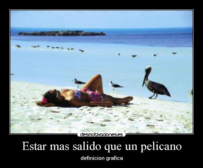 Estar mas salido que un pelicano - definicion grafica