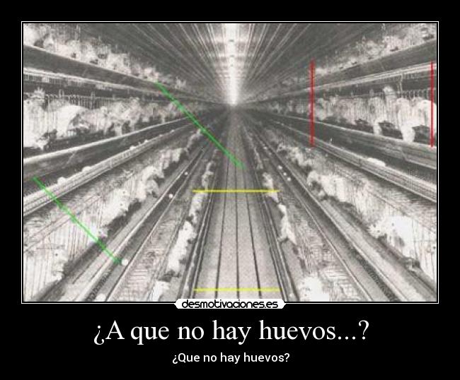 ¿A que no hay huevos...? -