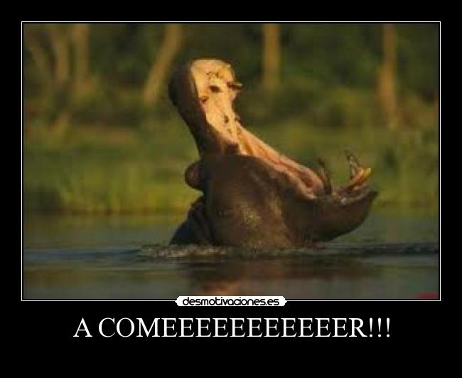 A COMEEEEEEEEEEER!!! -