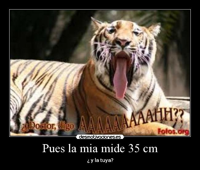 Pues la mia mide 35 cm -