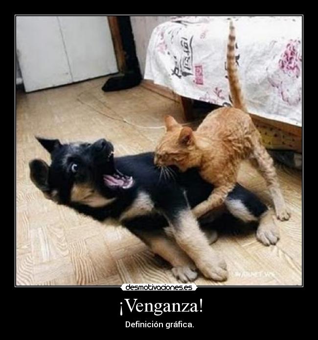 ¡Venganza! - 