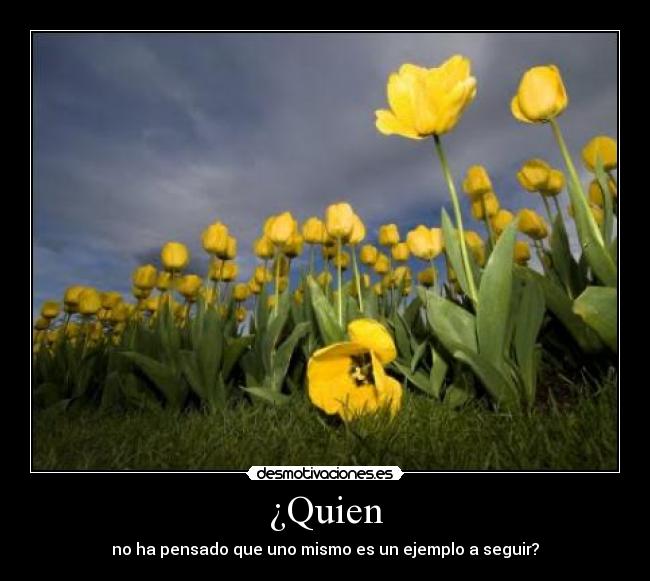 ¿Quien - 