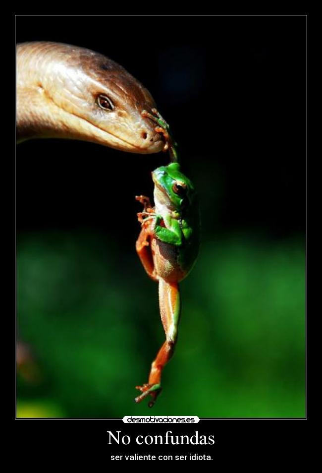 carteles confundas desmotivaciones