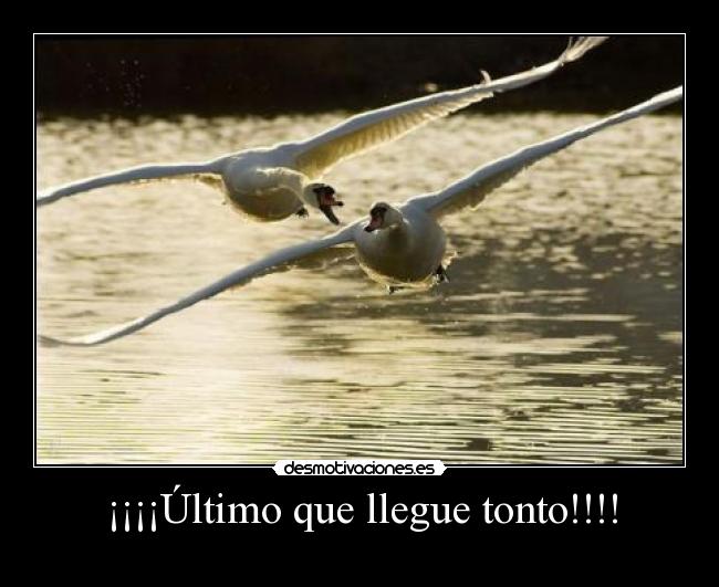 ¡¡¡¡Último que llegue tonto!!!! -
