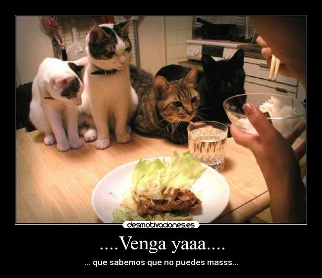 ....Venga yaaa.... -