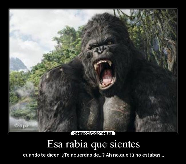 Esa rabia que sientes -