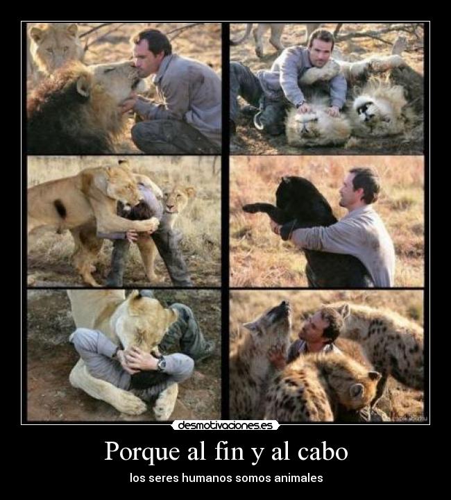 Porque al fin y al cabo - 