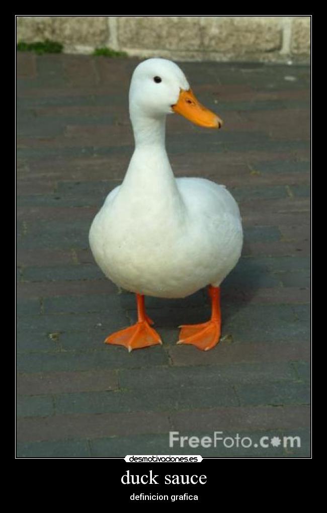 duck sauce - definicion grafica