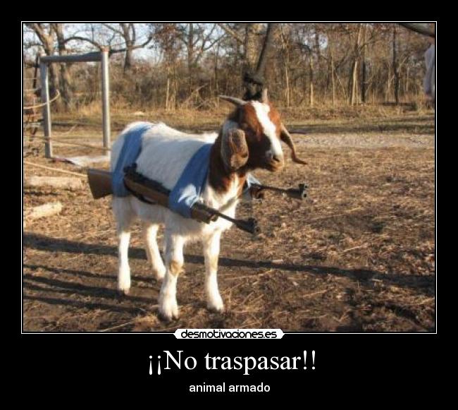 ¡¡No traspasar!! -