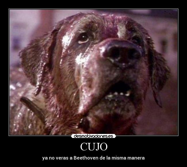 CUJO - ya no veras a Beethoven de la misma manera