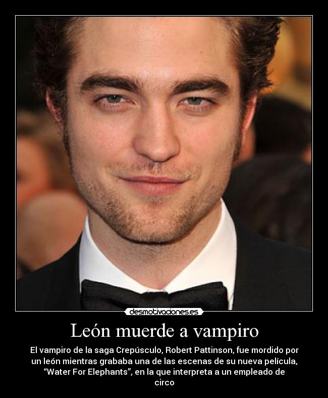 León muerde a vampiro - El vampiro de la saga Crepúsculo, Robert Pattinson, fue mordido por
un león mientras grababa una de las escenas de su nueva película,
“Water For Elephants”, en la que interpreta a un empleado de
circo