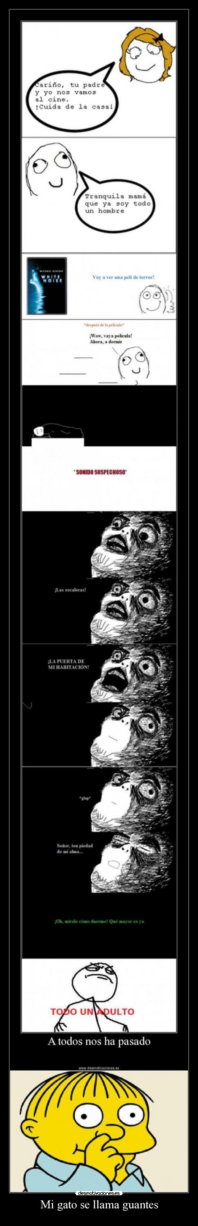 Mi gato se llama guantes - 