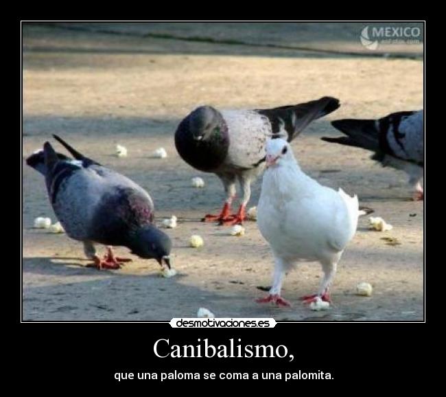 Canibalismo, -