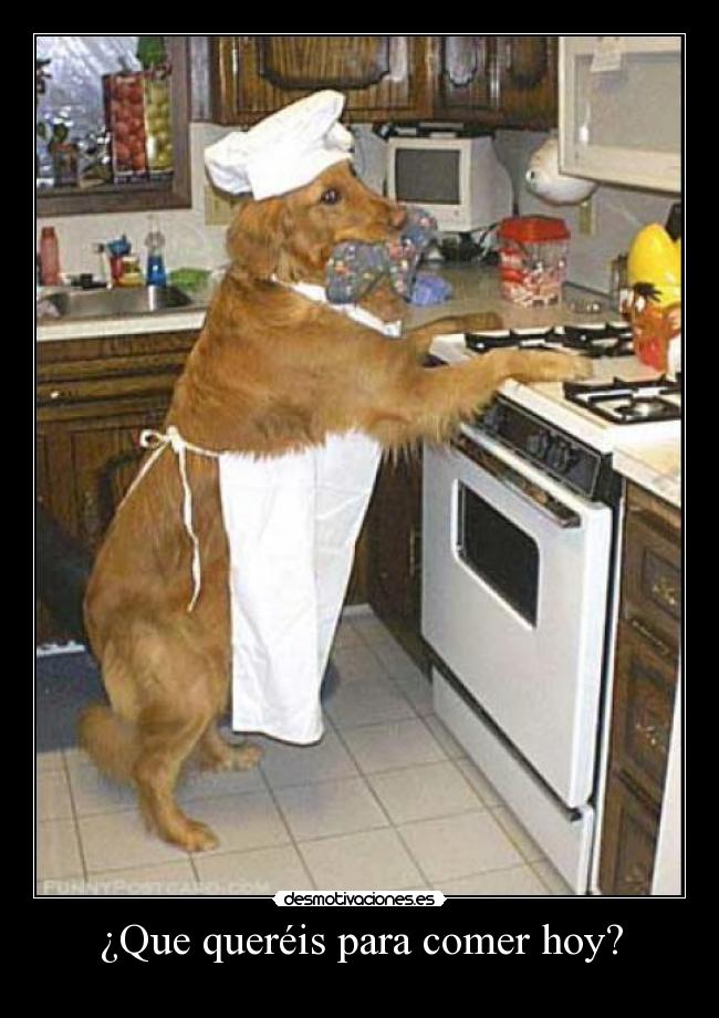 ¿Que queréis para comer hoy? -