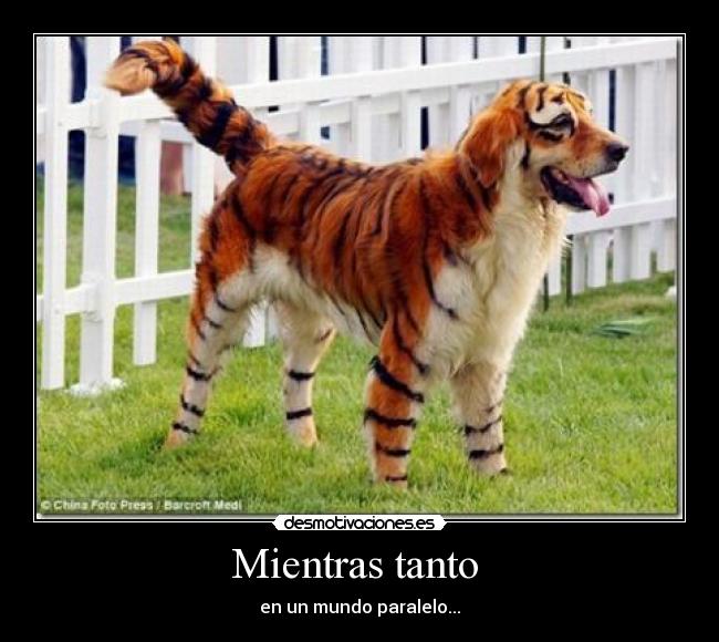 Mientras tanto  - en un mundo paralelo...