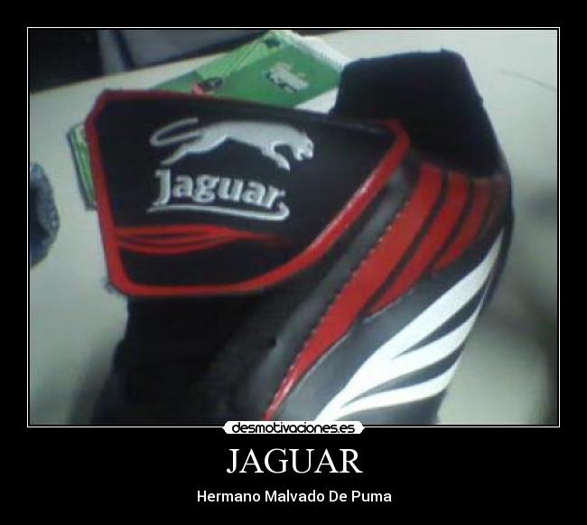 JAGUAR - 