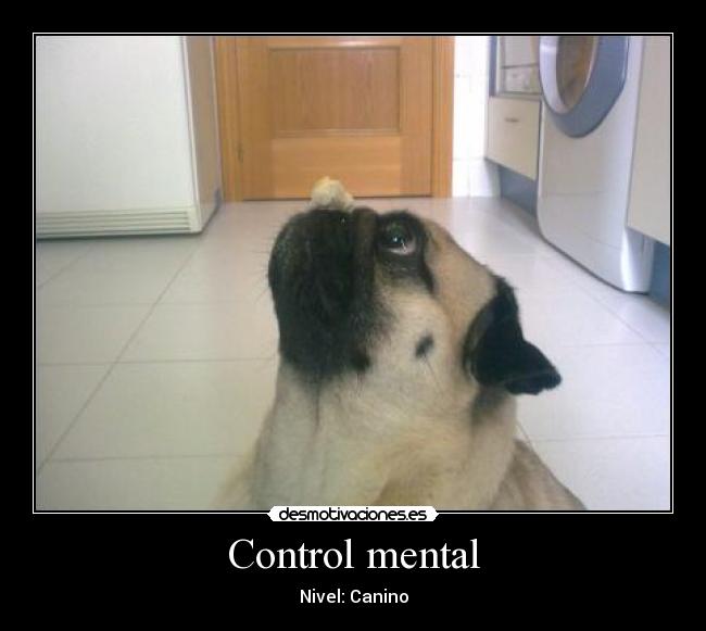 Control mental - Nivel: Canino