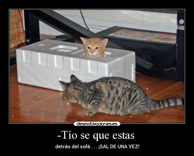 -Tío se que estas -