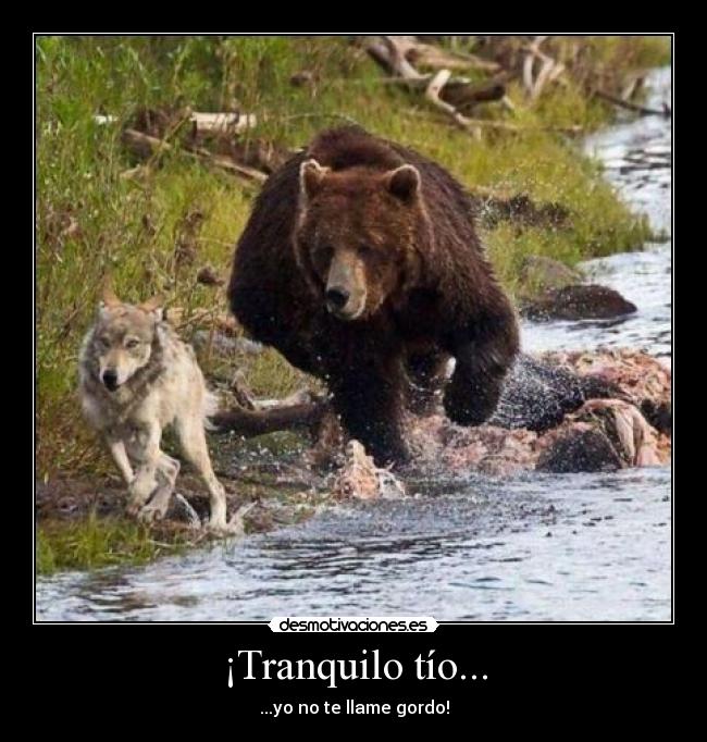 ¡Tranquilo tío... - ...yo no te llame gordo!